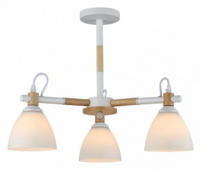 Люстра на штанге Rivoli Louise Б0060982 в Талице - talica.mebel24.online | фото 2
