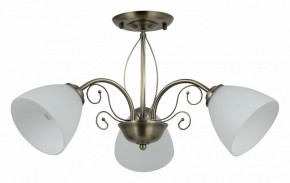 Люстра на штанге Rivoli Sue Б0060985 в Талице - talica.mebel24.online | фото