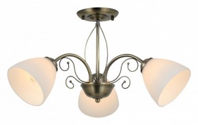 Люстра на штанге Rivoli Sue Б0060985 в Талице - talica.mebel24.online | фото 2