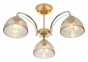 Люстра на штанге Rivoli Terri Б0060988 в Талице - talica.mebel24.online | фото