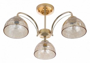 Люстра на штанге Rivoli Terri Б0060988 в Талице - talica.mebel24.online | фото 2