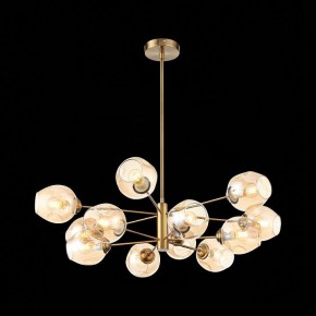 Люстра на штанге ST-Luce Fovia SL1500.203.12 в Талице - talica.mebel24.online | фото 4