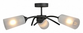 Люстра на штанге Vitaluce V2850 V2850-1/3PL в Талице - talica.mebel24.online | фото 3