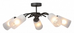 Люстра на штанге Vitaluce V2850 V2850-1/5PL в Талице - talica.mebel24.online | фото