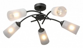 Люстра на штанге Vitaluce V2850 V2850-1/5PL в Талице - talica.mebel24.online | фото 2