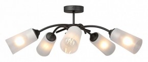 Люстра на штанге Vitaluce V2850 V2850-1/5PL в Талице - talica.mebel24.online | фото 3