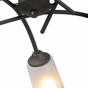 Люстра на штанге Vitaluce V2850 V2850-1/5PL в Талице - talica.mebel24.online | фото 6