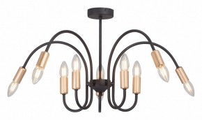 Люстра на штанге Vitaluce V3026 V3026-1/10PL в Талице - talica.mebel24.online | фото 2