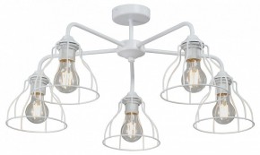 Люстра на штанге Vitaluce V3102 V3102-0/5PL в Талице - talica.mebel24.online | фото