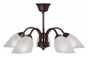 Люстра на штанге Vitaluce V3335 V3335-7/5PL в Талице - talica.mebel24.online | фото
