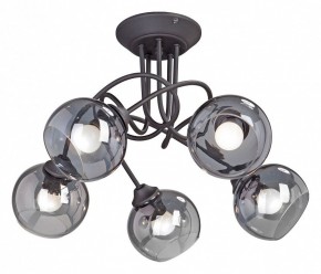 Люстра на штанге Vitaluce  V4309-1/5PL в Талице - talica.mebel24.online | фото