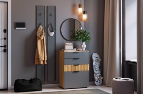 МЕБЕЛЬСОН К21 Прихожая в Талице - talica.mebel24.online | фото 2