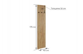 МЕБЕЛЬСОН К8 Прихожая в Талице - talica.mebel24.online | фото 3