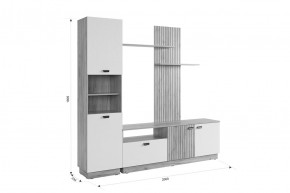 МОДИ Гостиная (модульная) белое дерево в Талице - talica.mebel24.online | фото 2