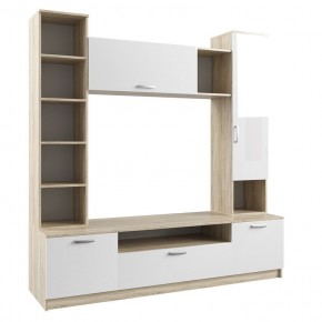 Модуль Софи СЦС 1900.1 Гостиная №4 в Талице - talica.mebel24.online | фото