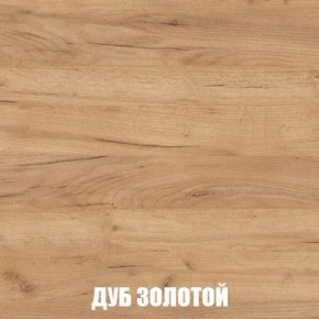 МСП-1 Шкаф 2-х створчатый (Дуб Золотой/Камень темный) в Талице - talica.mebel24.online | фото 4