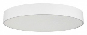 Накладной светильник Arlight TOR PILL 022132(4) в Талице - talica.mebel24.online | фото