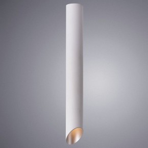 Накладной светильник Arte Lamp Pilon-Silver A1537PL-1WH в Талице - talica.mebel24.online | фото 2