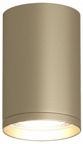 Накладной светильник Denkirs TUBE DK2050-SG в Талице - talica.mebel24.online | фото 2