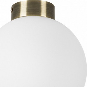 Накладной светильник Lightstar Globo 812021 в Талице - talica.mebel24.online | фото 3