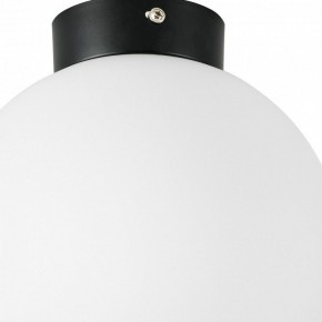 Накладной светильник Lightstar Globo 812027 в Талице - talica.mebel24.online | фото 2