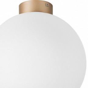 Накладной светильник Lightstar Globo 812033 в Талице - talica.mebel24.online | фото 2