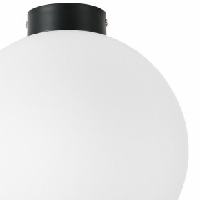 Накладной светильник Lightstar Globo 812037 в Талице - talica.mebel24.online | фото 3