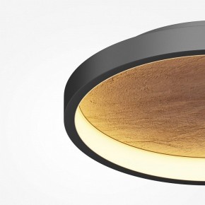 Накладной светильник Maytoni Orign MOD311CL-L40B3K в Талице - talica.mebel24.online | фото 3