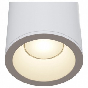 Накладной светильник Maytoni Zoom C029CL-01W в Талице - talica.mebel24.online | фото 4