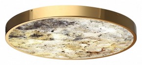 Накладной светильник Odeon Light Bergi 5079/50L в Талице - talica.mebel24.online | фото 5