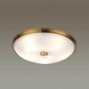 Накладной светильник Odeon Light Pelow 4956/5 в Талице - talica.mebel24.online | фото 2
