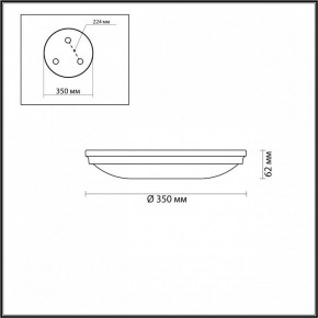 Накладной светильник Odeon Light Pelow 4957/4 в Талице - talica.mebel24.online | фото 3