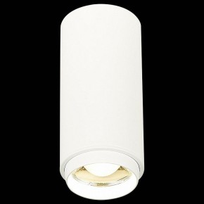 Накладной светильник ST-Luce Zoom ST600.542.10 в Талице - talica.mebel24.online | фото 3