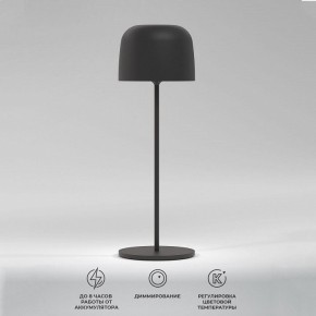 Настольная лампа декоративная Elektrostandard Bitty a069002 в Талице - talica.mebel24.online | фото 2