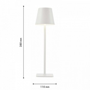 Настольная лампа декоративная F-promo Pyari 4614-1T в Талице - talica.mebel24.online | фото 3
