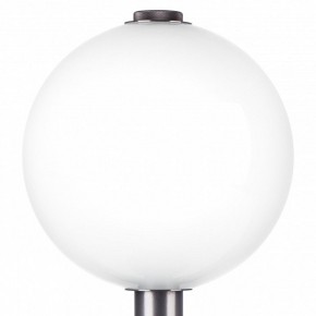 Настольная лампа декоративная Lightstar Colore 805916 в Талице - talica.mebel24.online | фото 6