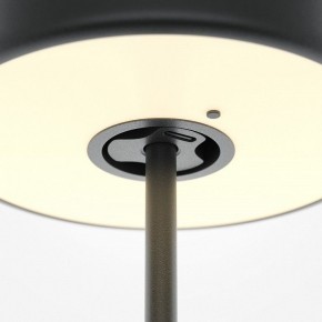 Настольная лампа декоративная Maytoni AI Collaboration MOD229TL-L3B3K2 в Талице - talica.mebel24.online | фото 5