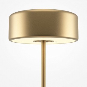 Настольная лампа декоративная Maytoni AI Collaboration MOD229TL-L3G3K2 в Талице - talica.mebel24.online | фото 4