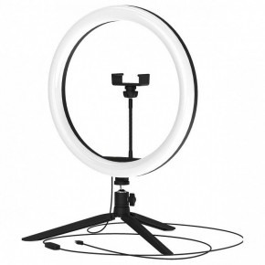 Настольная лампа кольцевая Gauss Ring Light RL003 в Талице - talica.mebel24.online | фото