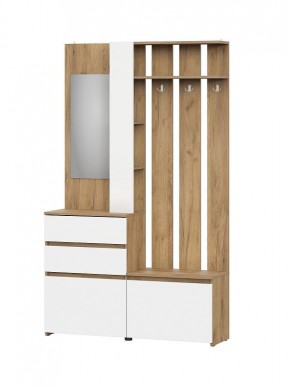 НЕКСТ 1 Вешалка с зеркалом + Шкаф 2-х ств. с ящиками в Талице - talica.mebel24.online | фото 4