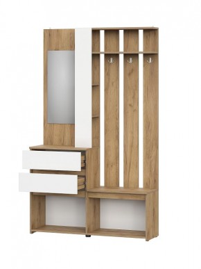 НЕКСТ 1 Вешалка с зеркалом + Шкаф 2-х ств. с ящиками в Талице - talica.mebel24.online | фото 5