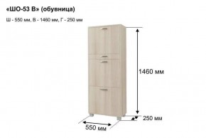 ШО-53 В тумба для обуви в Талице - talica.mebel24.online | фото 8