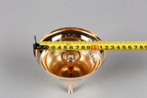 Подвесная люстра Aployt Daniele APL.701.03.12 в Талице - talica.mebel24.online | фото 6