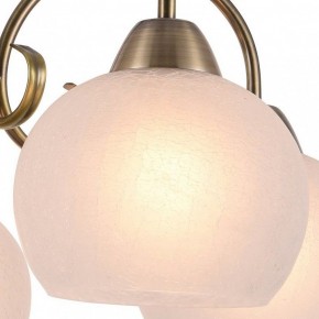 Подвесная люстра Arte Lamp Margo A9317LM-5AB в Талице - talica.mebel24.online | фото 2
