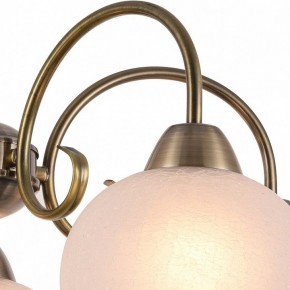 Подвесная люстра Arte Lamp Margo A9317LM-5AB в Талице - talica.mebel24.online | фото 3