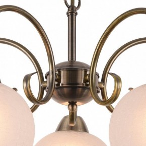 Подвесная люстра Arte Lamp Margo A9317LM-5AB в Талице - talica.mebel24.online | фото 4