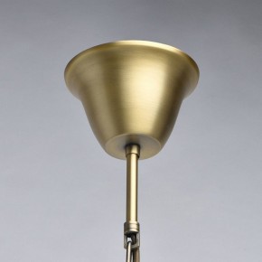 Подвесная люстра Chiaro Оделия 1 619011408 в Талице - talica.mebel24.online | фото 13