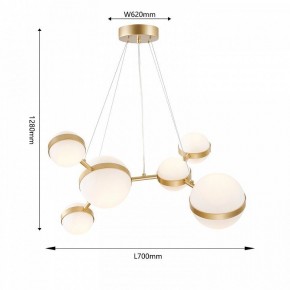 Подвесная люстра Favourite Asterismo 4448-6P в Талице - talica.mebel24.online | фото 5