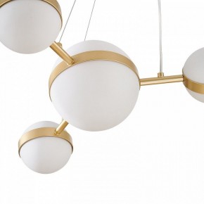 Подвесная люстра Favourite Asterismo 4448-6P в Талице - talica.mebel24.online | фото 7