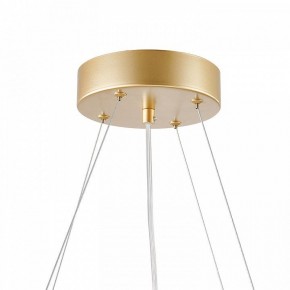 Подвесная люстра Favourite Asterismo 4448-6P в Талице - talica.mebel24.online | фото 9